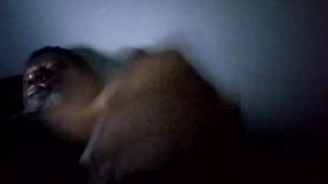 bi582945 online show from February 14, 10:34 am