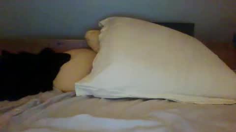 Snapshot of bibipheuck chatting on November 13, 12:04 pm bibipheuck online show from November 13, 12:04 pm