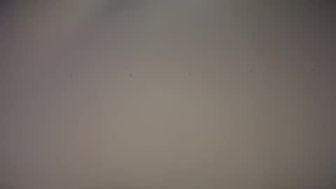 Biff Beaverhousen online show from November 1, 11:34 am