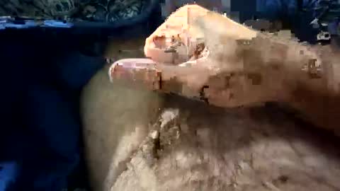 Snapshot of big88385909 chatting on October 21, 12:11 am big88385909 online show from October 21, 12:11 am