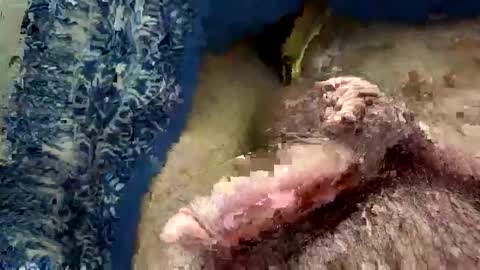 Snapshot of big88385909 chatting on November 20, 12:44 am big88385909 online show from November 20, 12:44 am