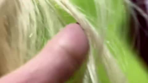 Snapshot of big_clit71 chatting on January 1, 6:05 am angela online show from January 1, 6:05 am