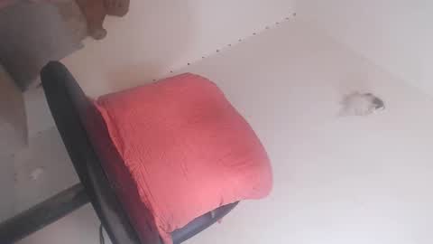 dashiell online show from March 21, 3:48 pm