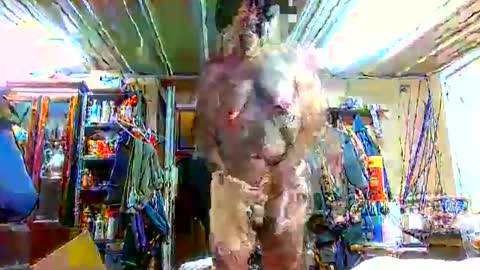 bigboy_604630544 online show from September 28, 1:16 pm