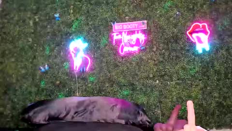bigbuttsarena online show from May 2, 12:26 am