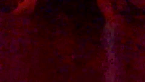 Snapshot of bigcawkdaddii chatting on February 7, 3:10 am Hunny online show from February 7, 3:10 am