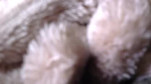 BigDad14140 online show from April 26, 9:51 am