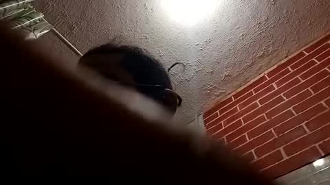 BigDaddykodack online show from October 28, 9:24 am