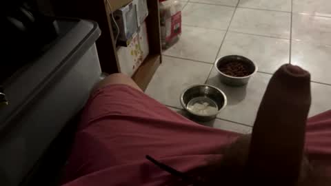 Snapshot of bigdaddy24569 chatting on March 25, 4:18 am bigdaddy24569 online show from March 25, 4:18 am