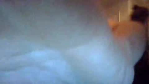 bigdickdaddy7201979564868 online show from September 22, 7:10 am