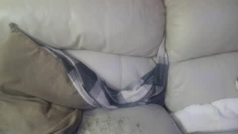 bigdicktrannynicole online show from January 30, 10:19 am