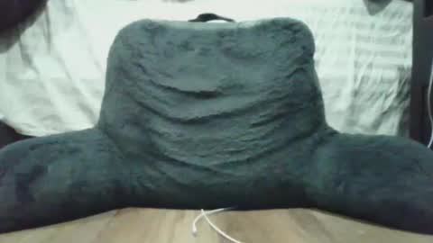 bigdyllpickle online show from January 8, 2:47 am