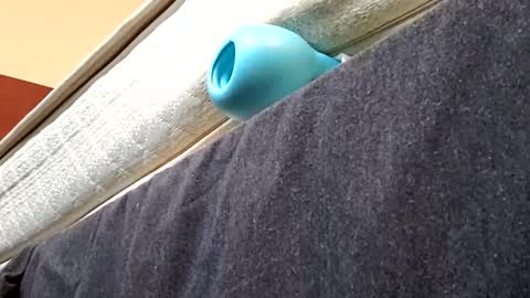 biggdaddyy5 online show from January 21, 2:05 pm