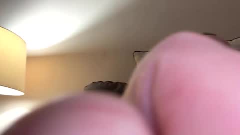 biggloves4bighands online show from November 16, 12:05 am