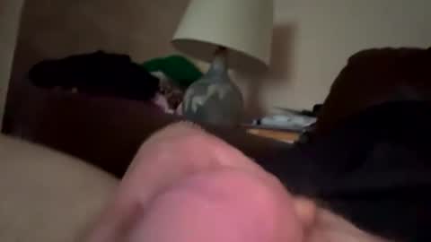 biggloves4bighands online show from December 21, 2:24 pm