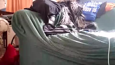 Snapshot of bigmanaround9 chatting on December 11, 8:39 pm bigmanaround9 online show from December 11, 8:39 pm