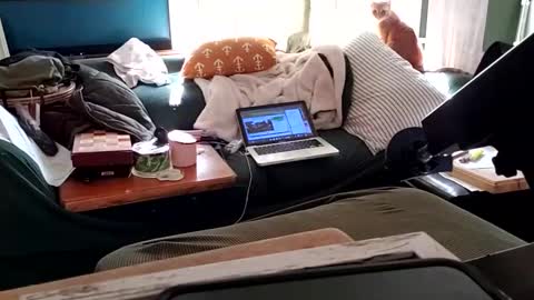 Snapshot of bigmanaround9 chatting on February 3, 9:07 pm bigmanaround9 online show from February 3, 9:07 pm