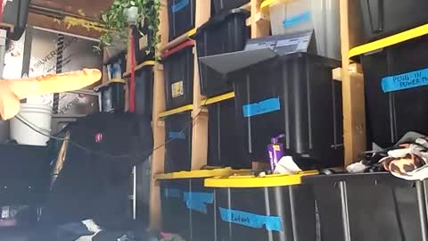 Snapshot of bigmanaround9 chatting on December 15, 8:35 pm bigmanaround9 online show from December 15, 8:35 pm