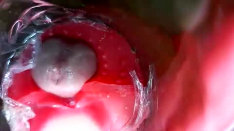 Snapshot of bigmoneycorey chatting on March 12, 7:31 pm bigmoneycorey online show from March 12, 7:31 pm