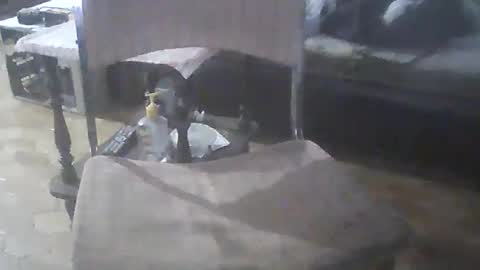 bigpenix online show from April 20, 11:39 pm