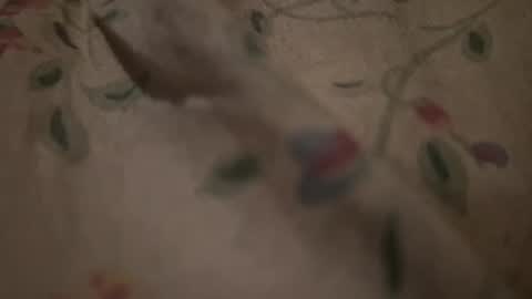 bigpoppadutch666 online show from January 16, 12:53 pm