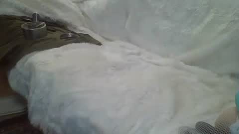 Snapshot of bigreallover chatting on December 14, 5:29 am ...... online show from December 14, 5:29 am