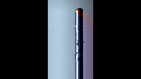 bigtex199801 online show from March 31, 3:19 am