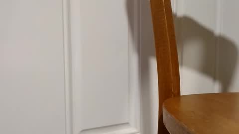 bigtopcircus online show from February 28, 2:56 am