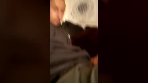 DeePee online show from June 15, 10:28 am