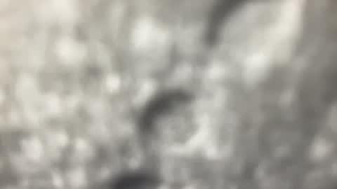 biguywithtoys online show from December 22, 6:37 pm