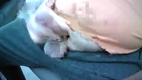 Snapshot of bikeman17 chatting on October 4, 8:45 am bikeman17 online show from October 4, 8:45 am