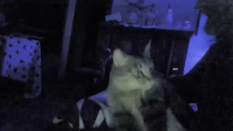 billenews online show from February 26, 6:01 am