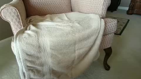 Snapshot of billernest99 chatting on October 1, 5:52 pm billernest99 online show from October 1, 5:52 pm