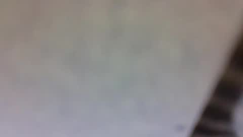 billmenow141 online show from March 10, 10:59 am