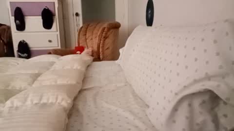 Bill online show from September 19, 8:05 am