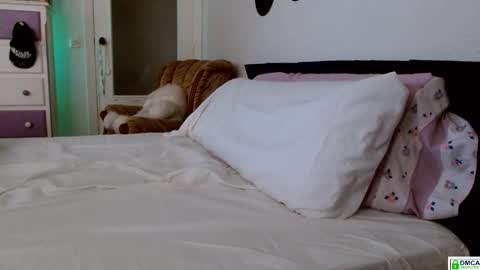 Bill online show from October 3, 10:01 am