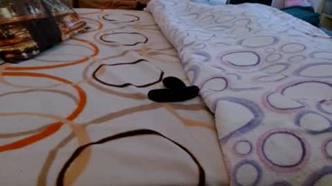 Bill online show from March 16, 6:50 am