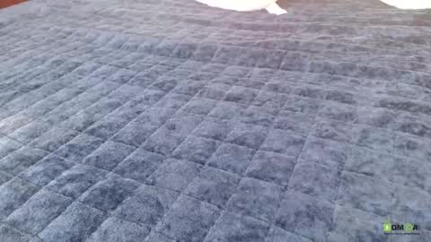 Bill online show from April 23, 11:53 am