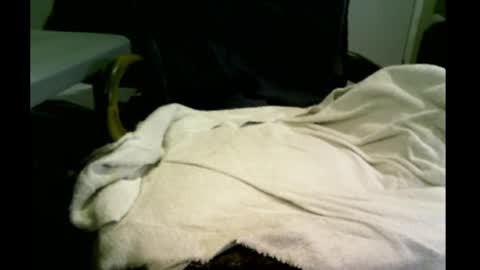 bimale4hotphuk online show from February 20, 9:44 am