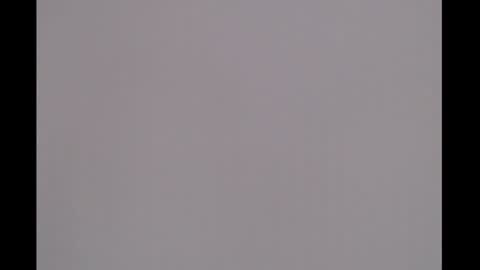 bivi  hot online show from January 8, 1:31 pm