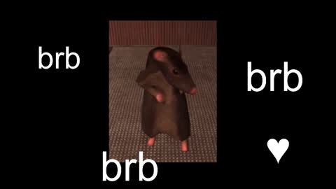  Black Kittie    Wednesday - 1300 - 1900 GMT help me get 100 thumbs up online show from September 9, 12:15 pm