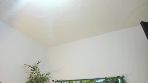 B L A C K  R O S E  online show from January 31, 11:35 am