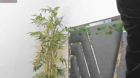 B L A C K  R O S E  online show from February 10, 11:46 am