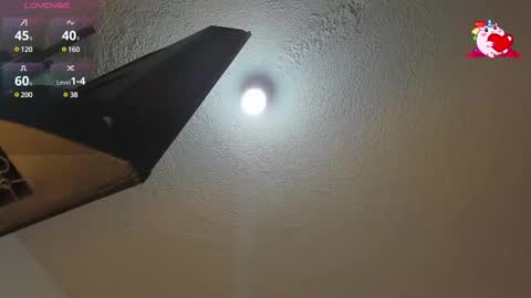 B L A C K  R O S E  online show from February 12, 11:51 am