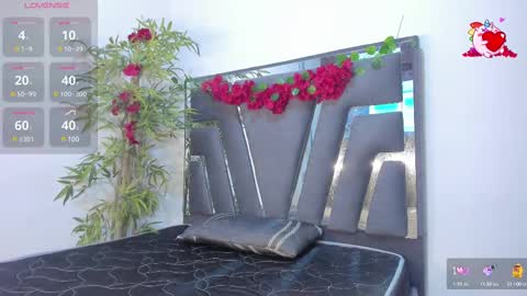 B L A C K  R O S E  online show from February 19, 11:28 am