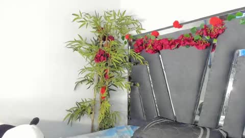 B L A C K  R O S E  online show from March 12, 2:56 pm