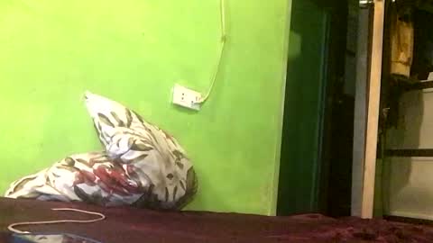 Crystal online show from April 18, 7:58 pm