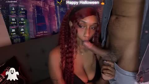 Black Bunny online show from November 1, 12:01 am