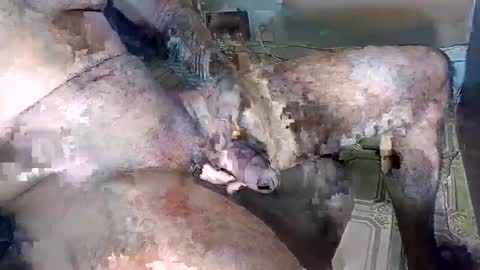 blackedbigdick online show from October 18, 7:03 pm