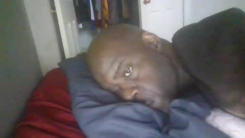 blackteddybear online show from January 19, 3:05 pm